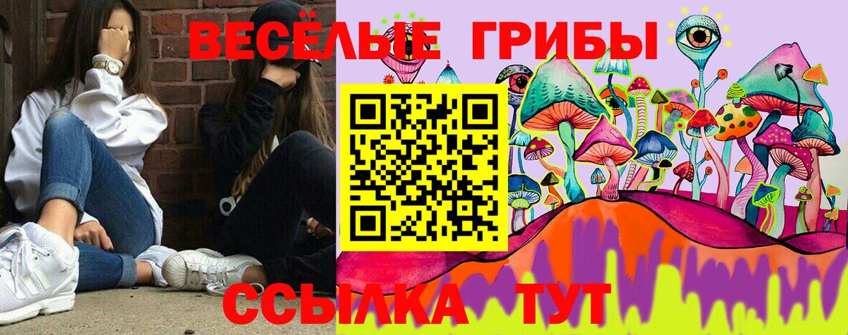 Псилоцибиновые грибы Psilocybine cubensis  Вход с VPN  купить наркотики сайты  Галлюциногенные грибы Magic Shrooms  Щёлково 